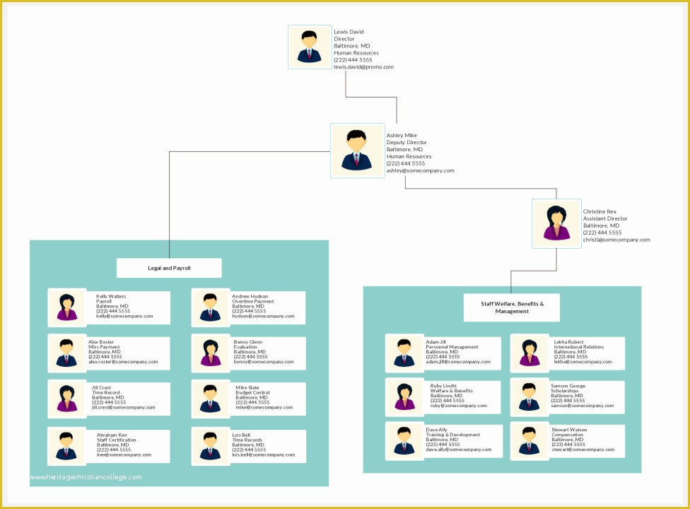 Free org Chart Template Of organizational Chart Templates