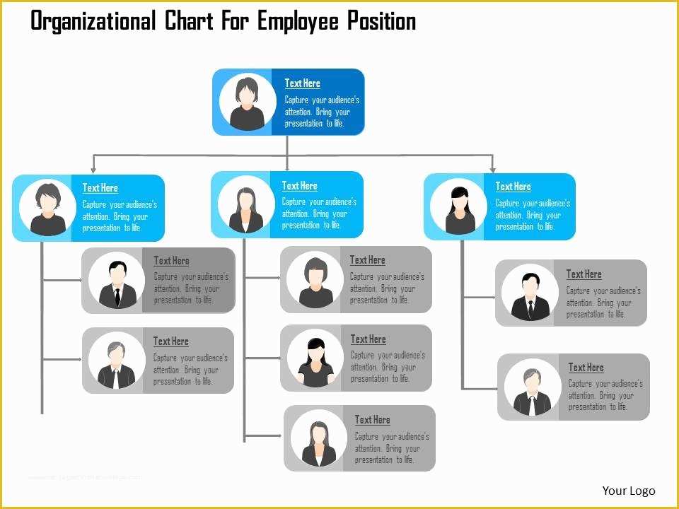 Free org Chart Template Powerpoint Of organizational Chart for Employee Position Flat Powerpoint