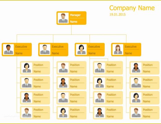 Free organizational Chart Template for Mac Of 25 Typical orgcharts solution