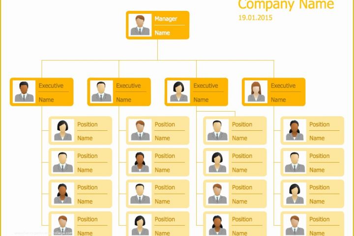 Free organizational Chart Template for Mac Of 25 Typical orgcharts solution
