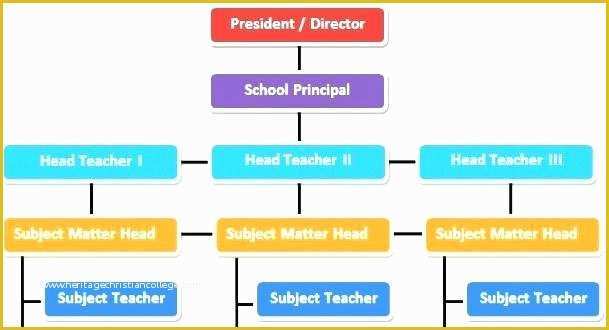 Free organizational Chart Template for Mac Of Microsoft Office organizational Chart Template Microsoft