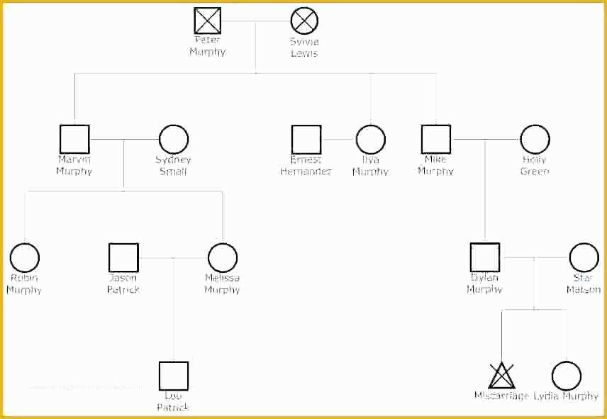 Free organizational Chart Template for Mac Of Non Profit organizational Chart Template Fresh top Result