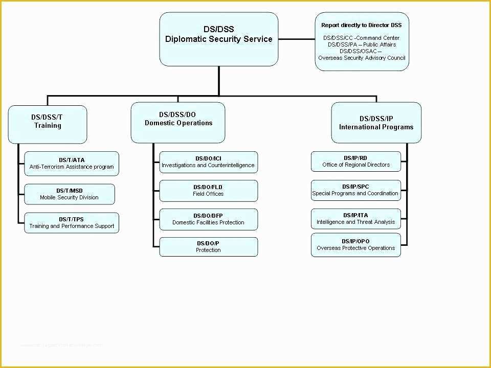 Free organizational Chart Template for Mac Of Printable organizational Chart Template for Mac Pages