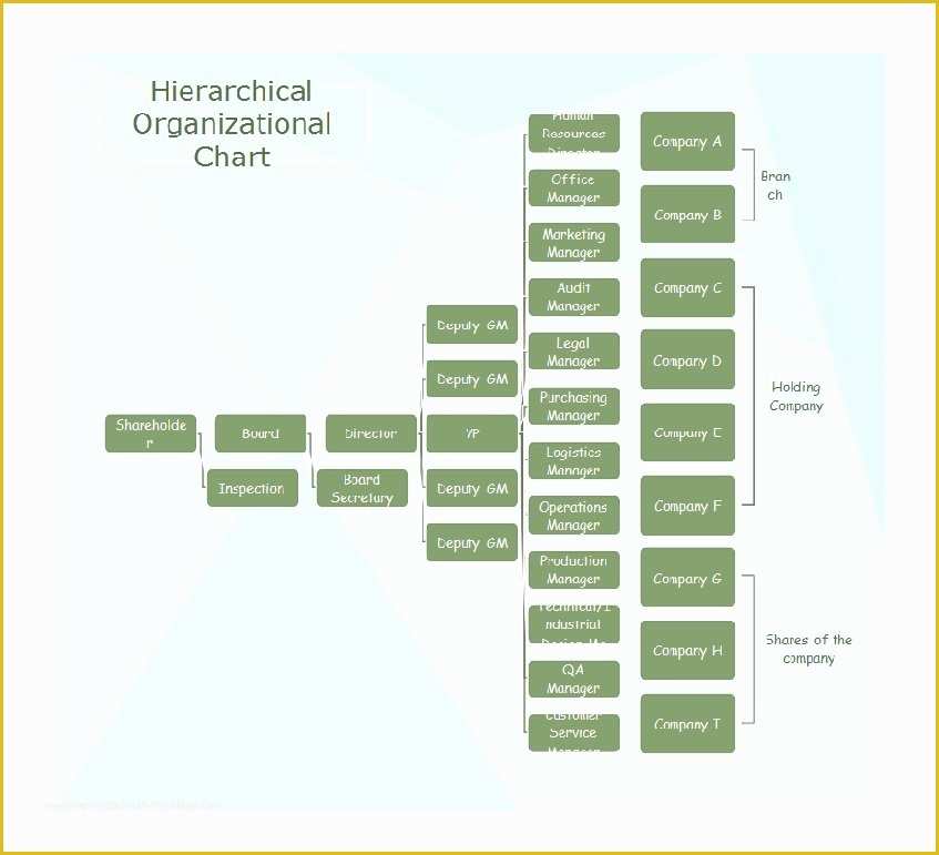 Free organizational Chart Template Of 40 Free organizational Chart Templates Word Excel