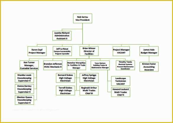 Free organizational Chart Template Of organizational Chart Template – 9 Free Sample Example