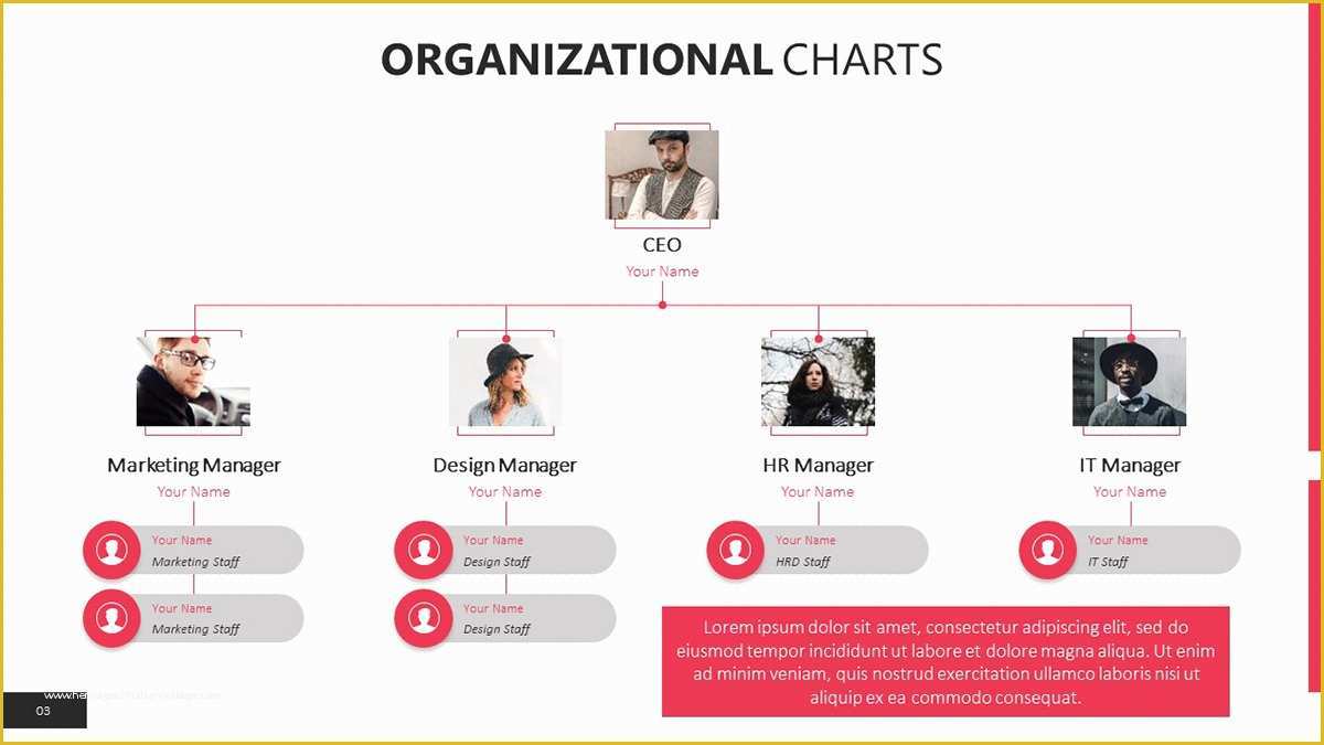 Free organizational Chart Template Of organizational Chart Templates