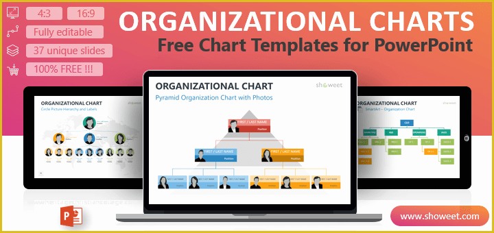 Free organizational Chart Template Of organizational Charts for Powerpoint