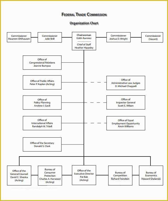 Free organizational Chart Template Of Sample Blank organizational Chart 11 Documents In Pdf
