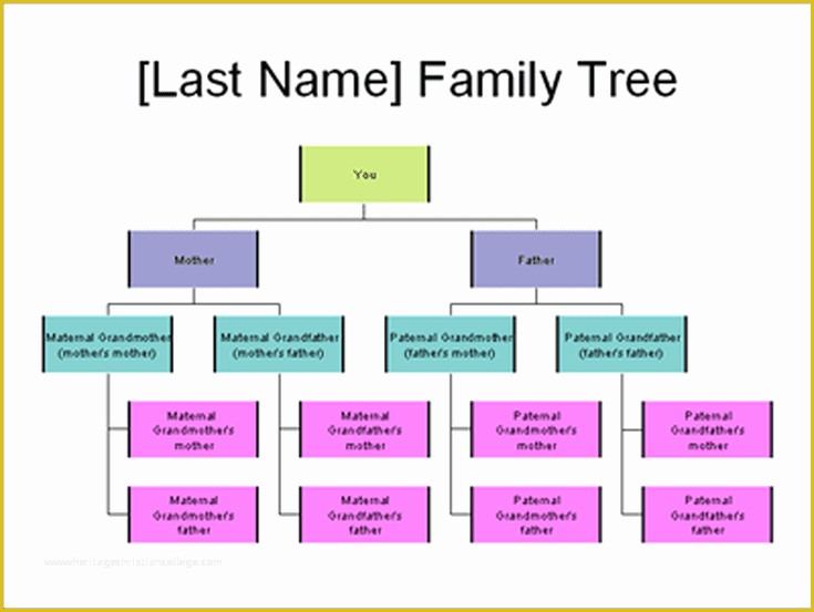 Free organizational Chart Template Word 2010 Of 5 Ways to Create and Display Your Family Tree