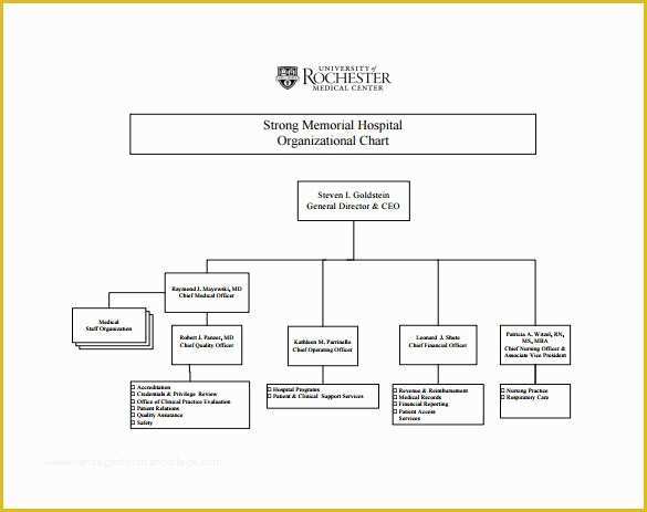 Free organizational Chart Template Word 2010 Of Download organization Chart Template Word Templates