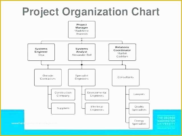 Free organizational Chart Template Word 2010 Of Free organizational Chart Template 5 Word Documents