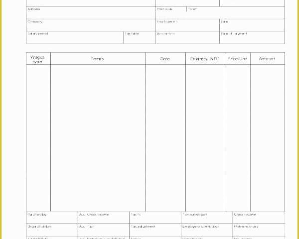 Free Pay Stub Maker Template Of Paycheck Stubs Maker Tario Pay Stub Generator