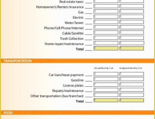 Free Payment Tracker Template Of Payment Tracking Templates