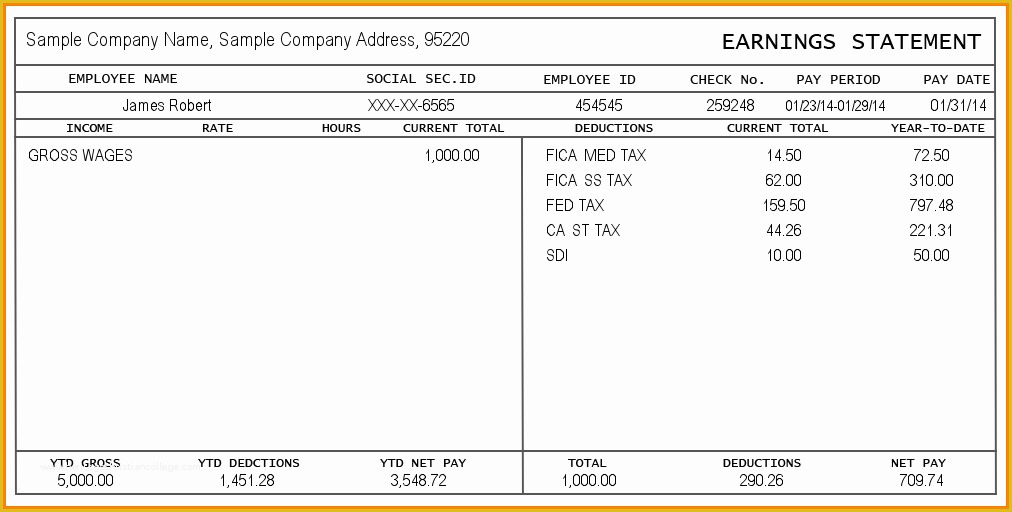 Free Paystub Maker Template Of 10 Create Paycheck Stub Template Free