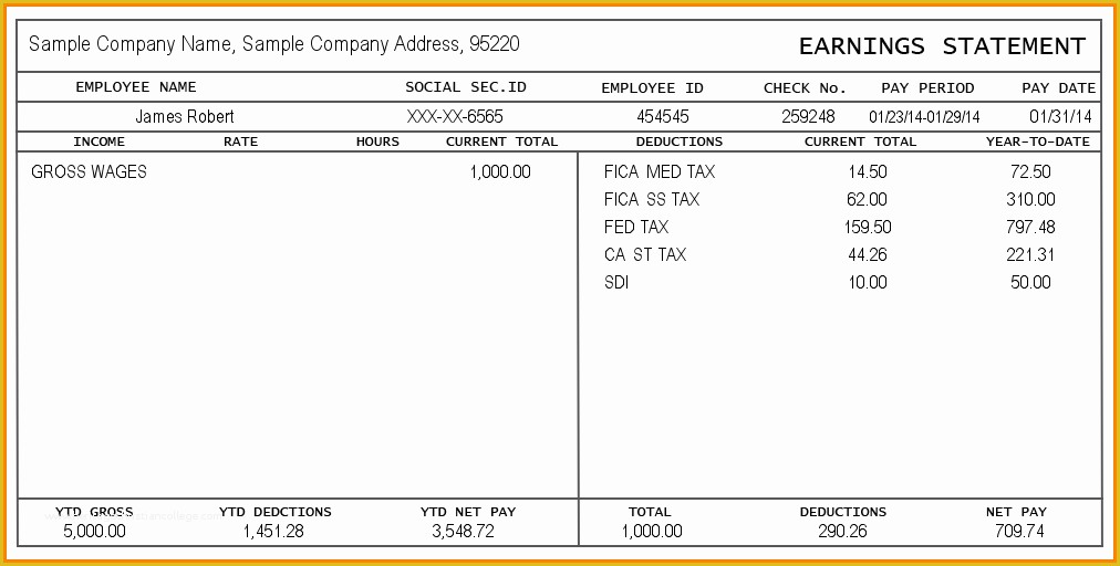 Free Paystub Maker Template Of 10 Create Paycheck Stub Template Free