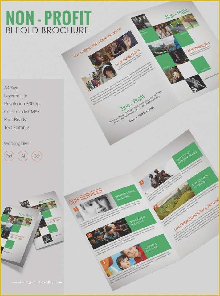 Free Pediatric Brochure Templates Of 50 New Free Pediatric Brochure Templates