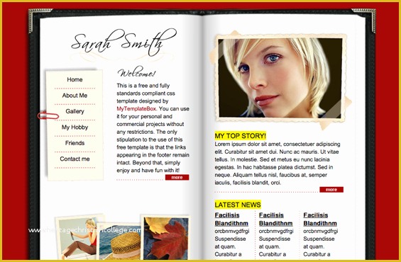 Free Personal Blogger Templates Of Personal Blog Template Mytemplatez