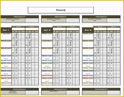 Free Personal Training Program Template Of Excel Training Designs Fast Easy Affordable