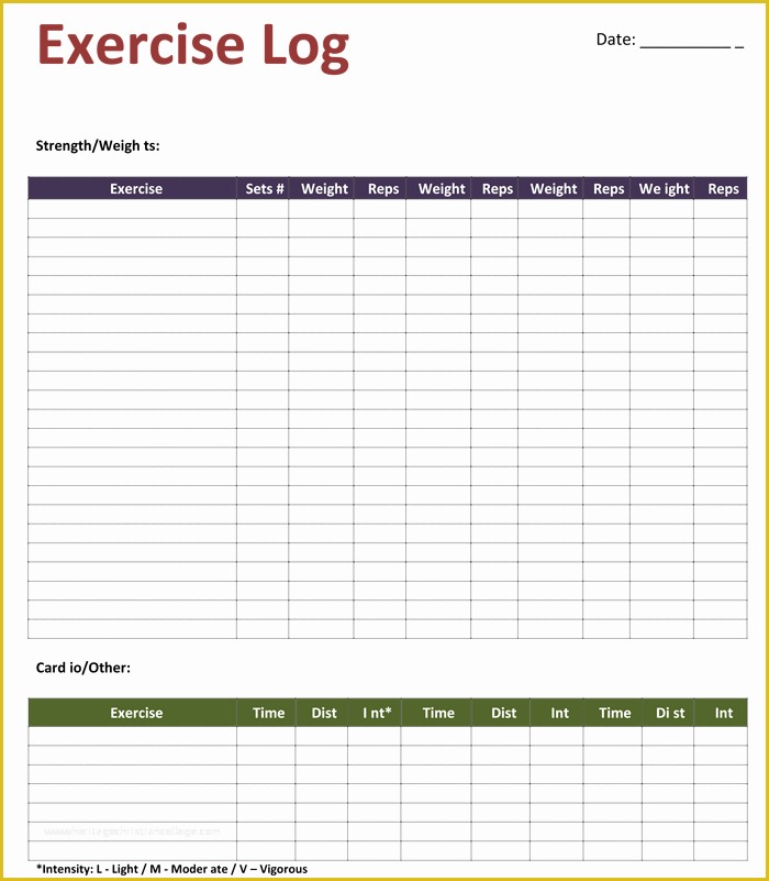 Free Personal Training Program Template Of Exercise Log Template 8 Plus Training Sheets