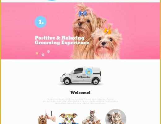 Free Pet Store Website Templates Of 23 Pet Website themes &amp; Templates