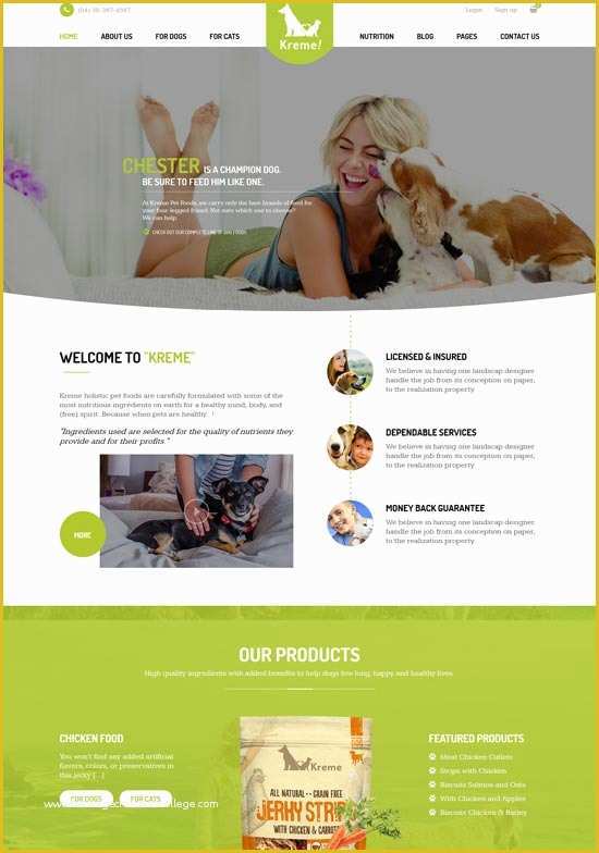 Free Pet Store Website Templates Of 60 Best Animal Pet Website Templates Free & Premium