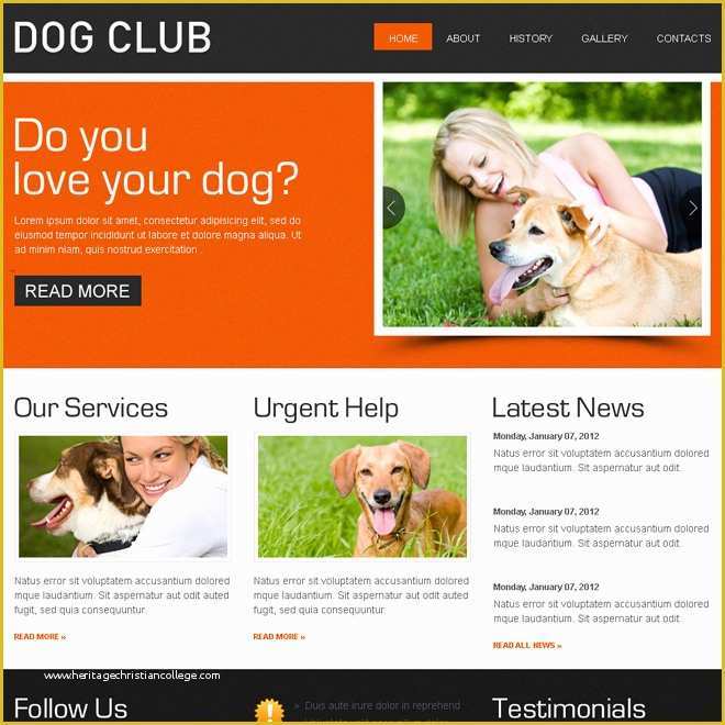 Free Pet Store Website Templates Of Animals and Pets Website Templates to Create Website
