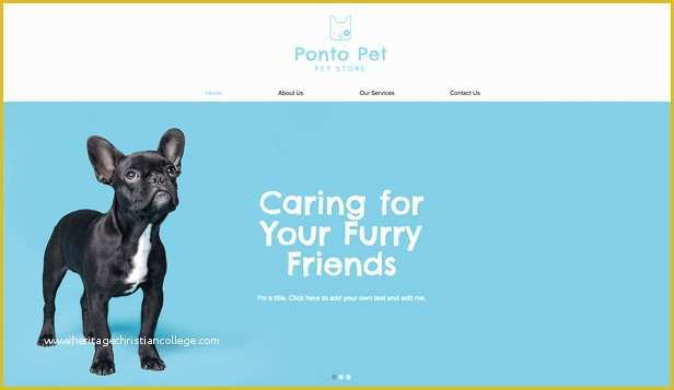 Free Pet Store Website Templates Of Business Website Templates