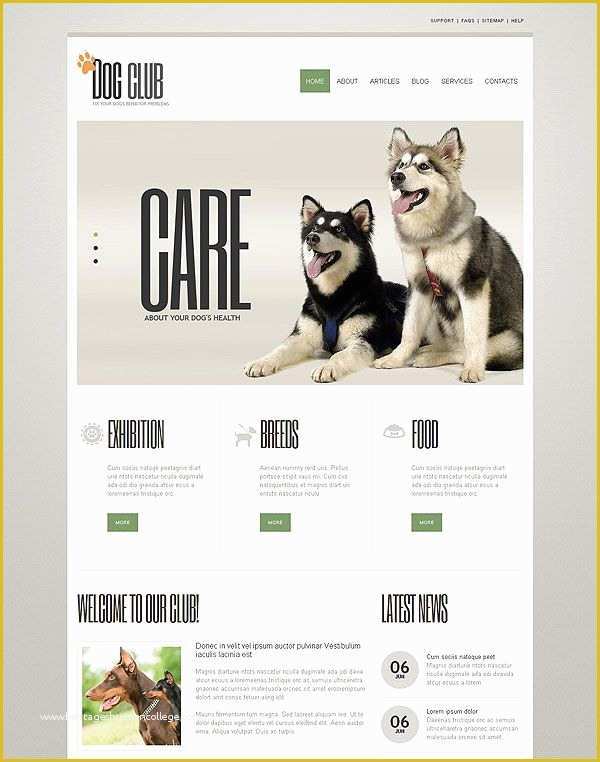 Free Pet Store Website Templates Of Dog Club Joomla Template