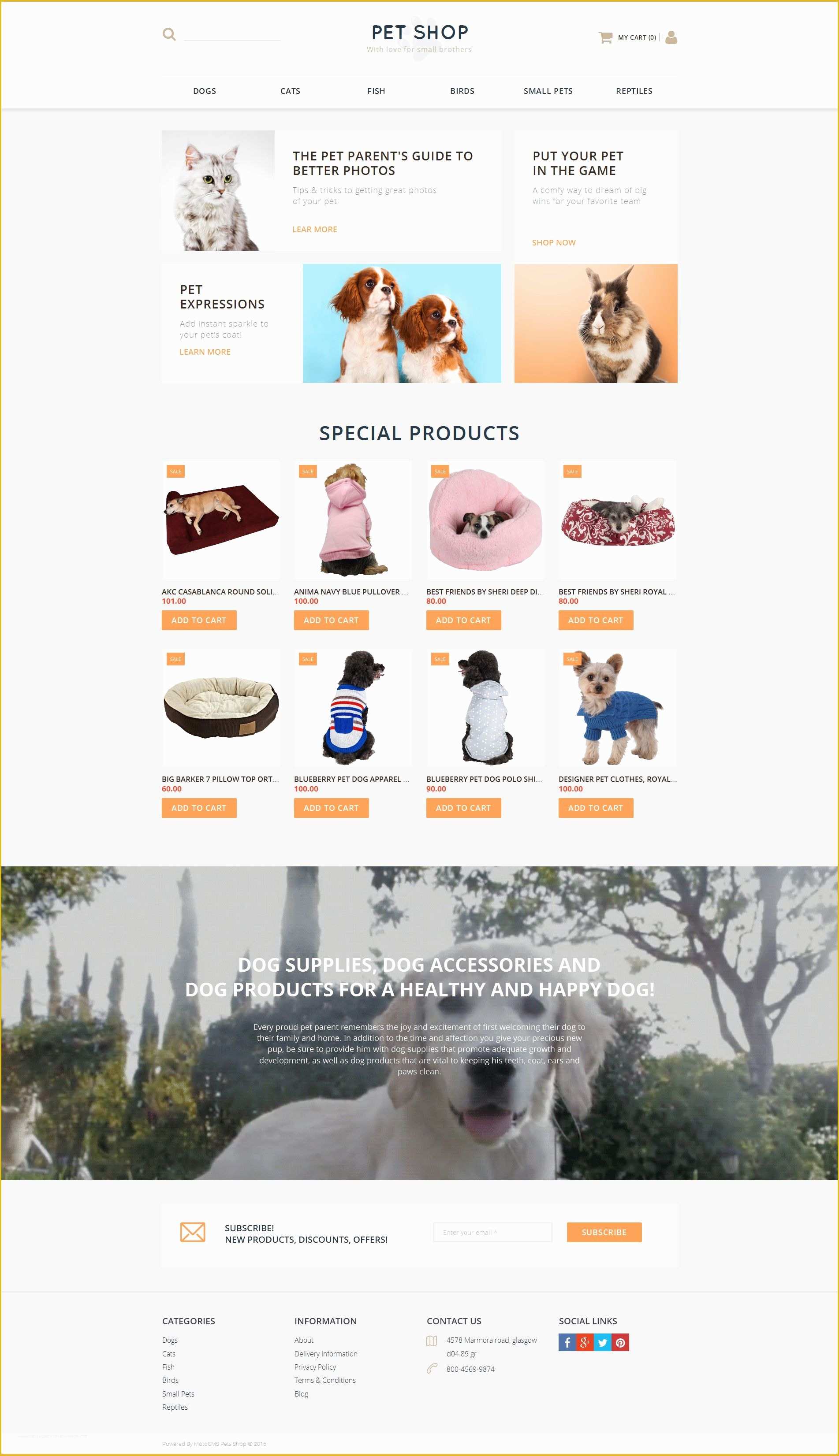 Free Pet Store Website Templates Of Pet Shop Responsive Motocms E Merce Template