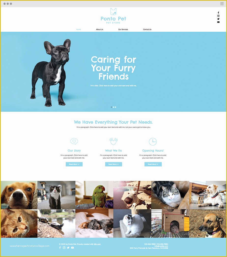Free Pet Store Website Templates Of Pet Shop Website Template