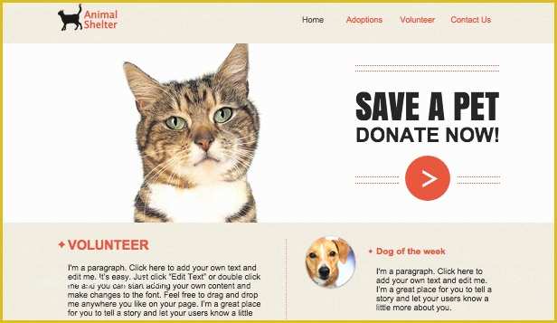 Free Pet Store Website Templates Of Pets &amp; Animals Website Templates Business