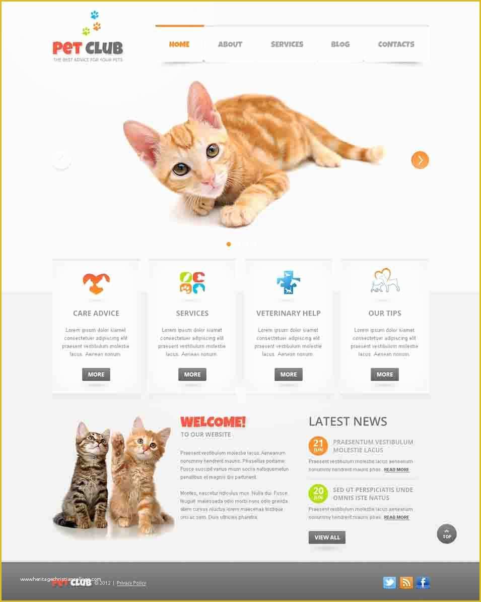 Free Pet Store Website Templates Of Pets Store Joomla Website Templates & themes