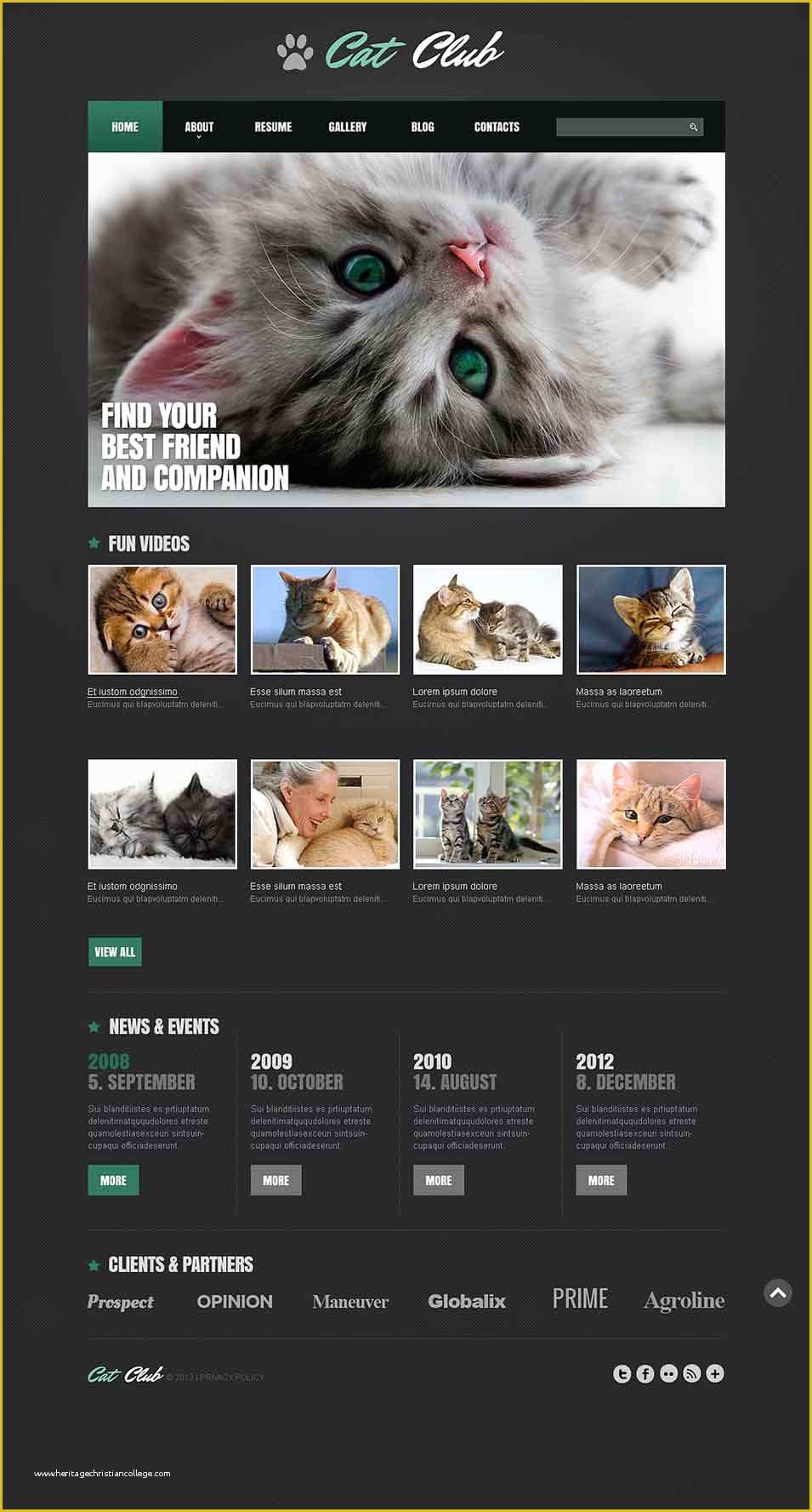 Free Pet Store Website Templates Of Pets Store Joomla Website Templates & themes