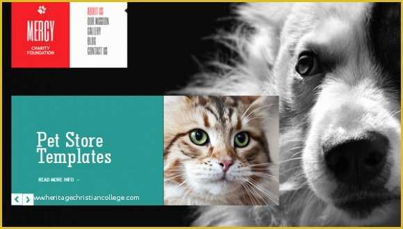 Free Pet Store Website Templates Of Pets Store Joomla Website Templates & themes