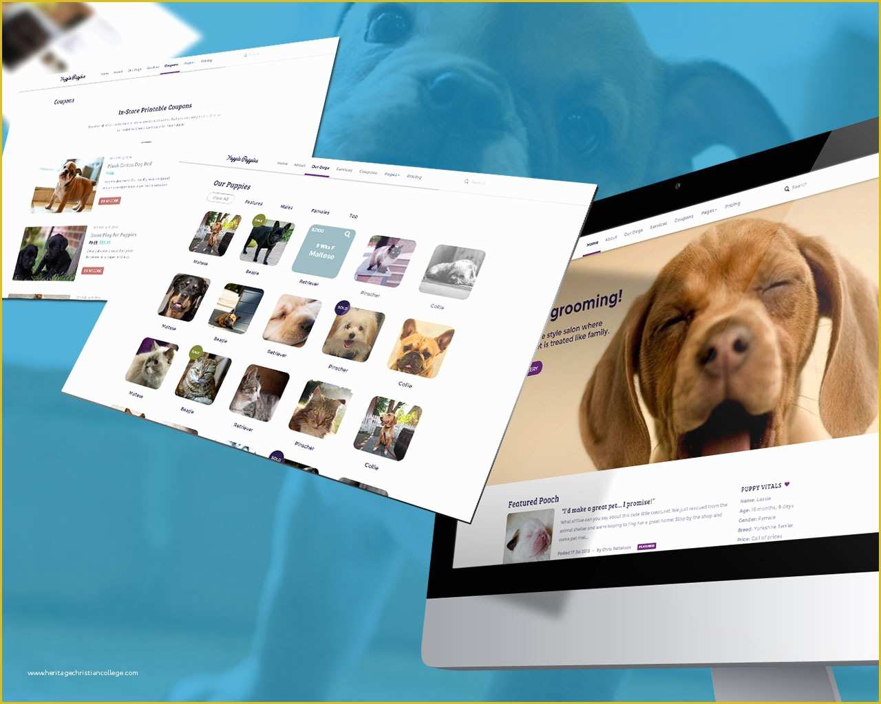 Free Pet Store Website Templates Of Petshop Responsive Pet Friendly theme