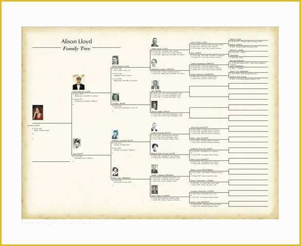 Free Photobook Template Of Family Tree Book Template – 9 Free Word Excel Pdf