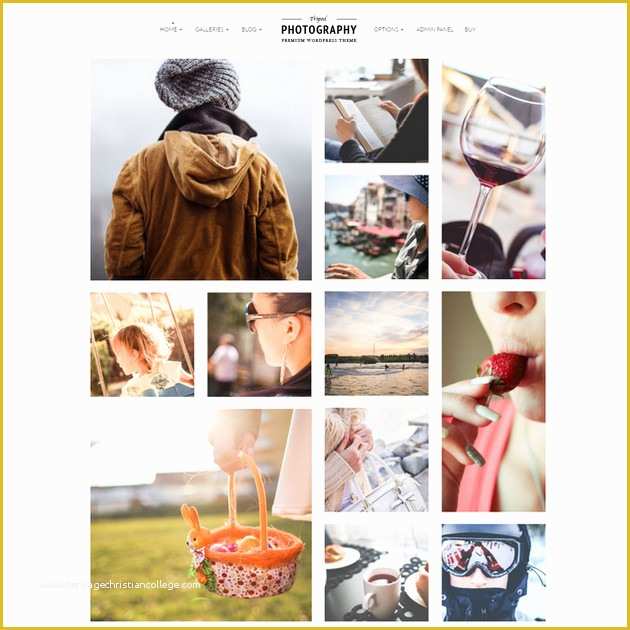 Free Photography Website Templates for Photographers Of 40 Best Graphy Website Templates for Wordpress In 2017