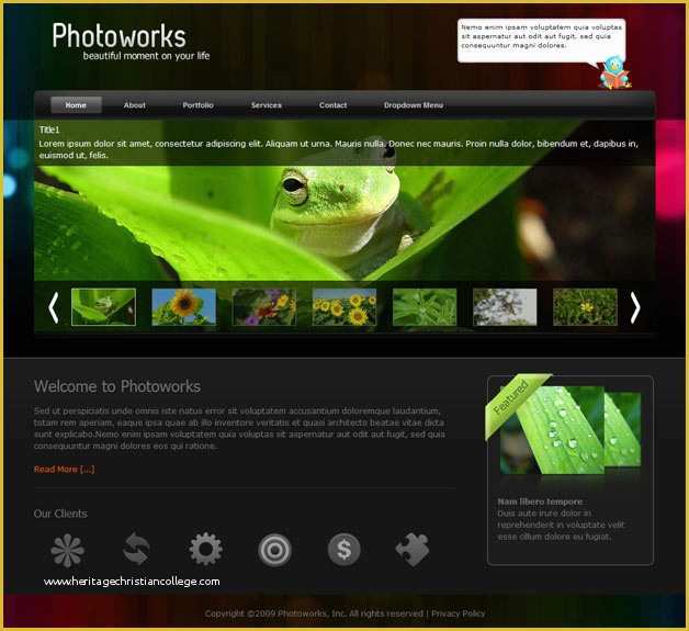 Free Photography Website Templates for Photographers Of Graphy Website Templates