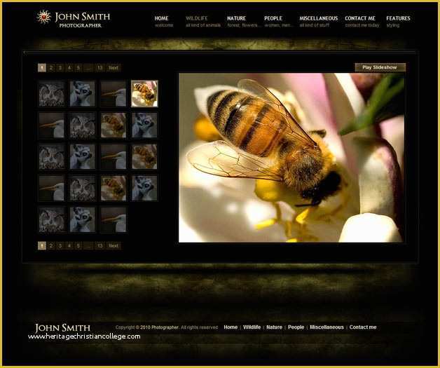 Free Photography Website Templates for Photographers Of Graphy Website Templates