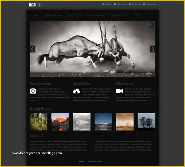 Free Photography Website Templates for Photographers Of Templates Perfect Free Photo Gallery Css Web Template