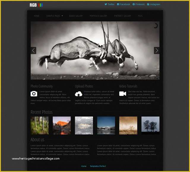 Free Photography Website Templates Of Free Photo Gallery Css Web Template