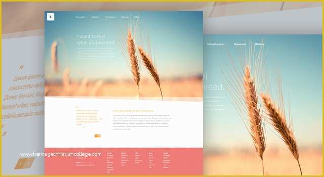 Free Photoshop Website Templates Of 20 Free High Quality Website Shop Templates