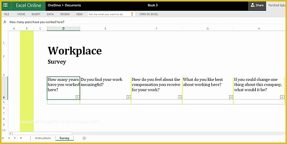 Free Poll Template Of Workplace Survey Template for Excel Line