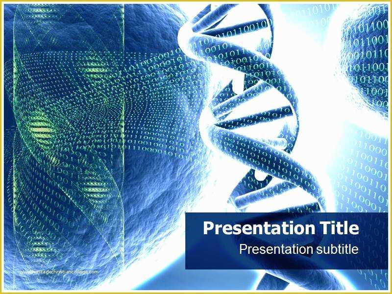 Free Powerpoint Templates Medical theme Of Structure Of Dna Powerpoint Templates Ppt Background themes
