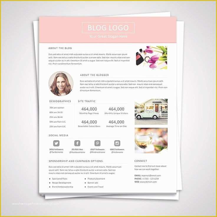 Free Press Kit Template Download Of 13 Media Kit Template Free