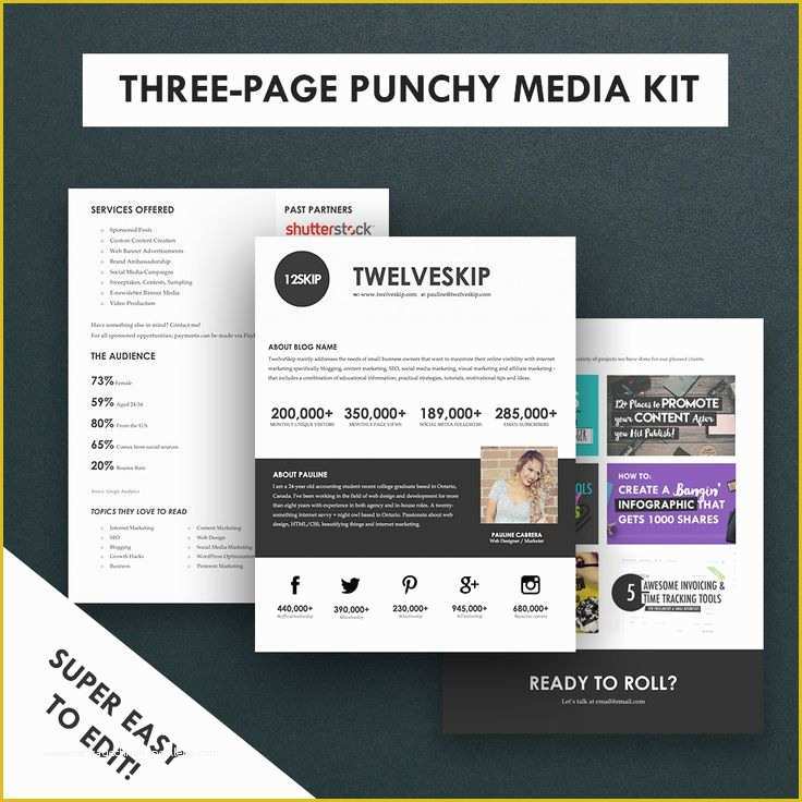 Free Press Kit Template Download Of 32 Best Media Kit Design Examples Images On Pinterest