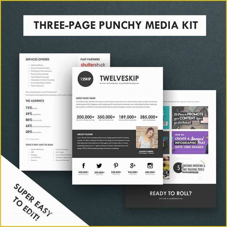 Free Press Kit Template Download Of 32 Best Media Kit Design Examples free-press-kit-template-download-of-32-best-media-kit-design-examples