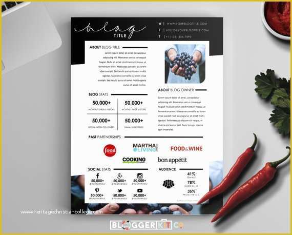 Free Press Kit Template Download Of E Page Media Kit Template