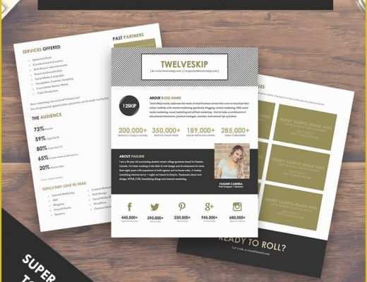 Free Press Kit Template Of 59 Best Images About Media Kit Inspiration A Media Kit