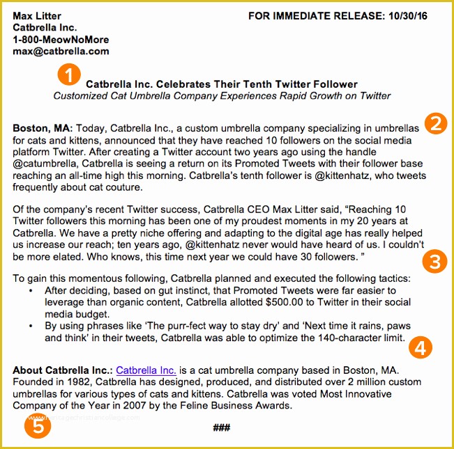 Free Press Release Template Of How to Write A Press Release [free Press Release Template